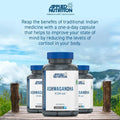 Applied Nutrition Ashwagandha KSM-66 / 60 capsules / 60 servings
