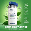 Applied Nutrition CLA & L-Carnitine & Green Tea / 100 capsules / 50 servings