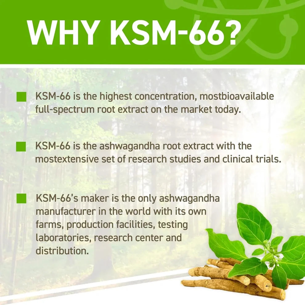 Applied Nutrition Ashwagandha KSM-66 / 60 capsules / 60 servings