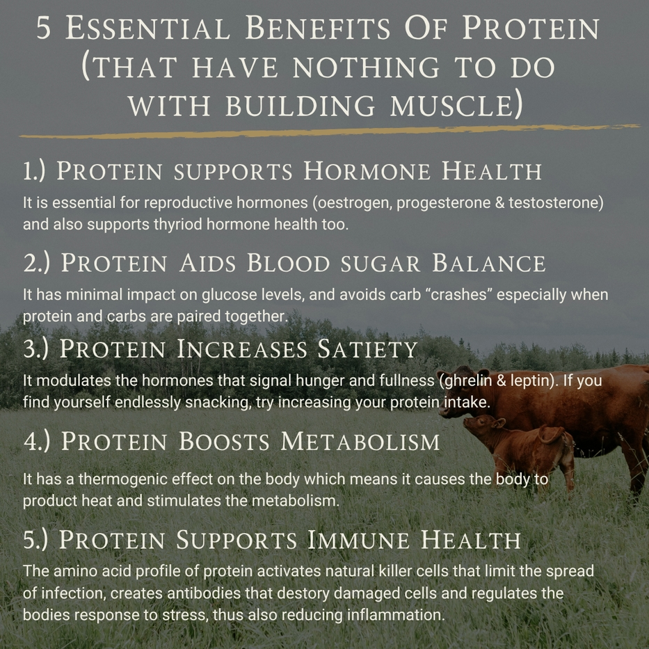 APE Nutrition | Grass-Fed Beef Protein Powder | Raw Cacao & Maple Sea Salt | 1.3kg (50 servings)