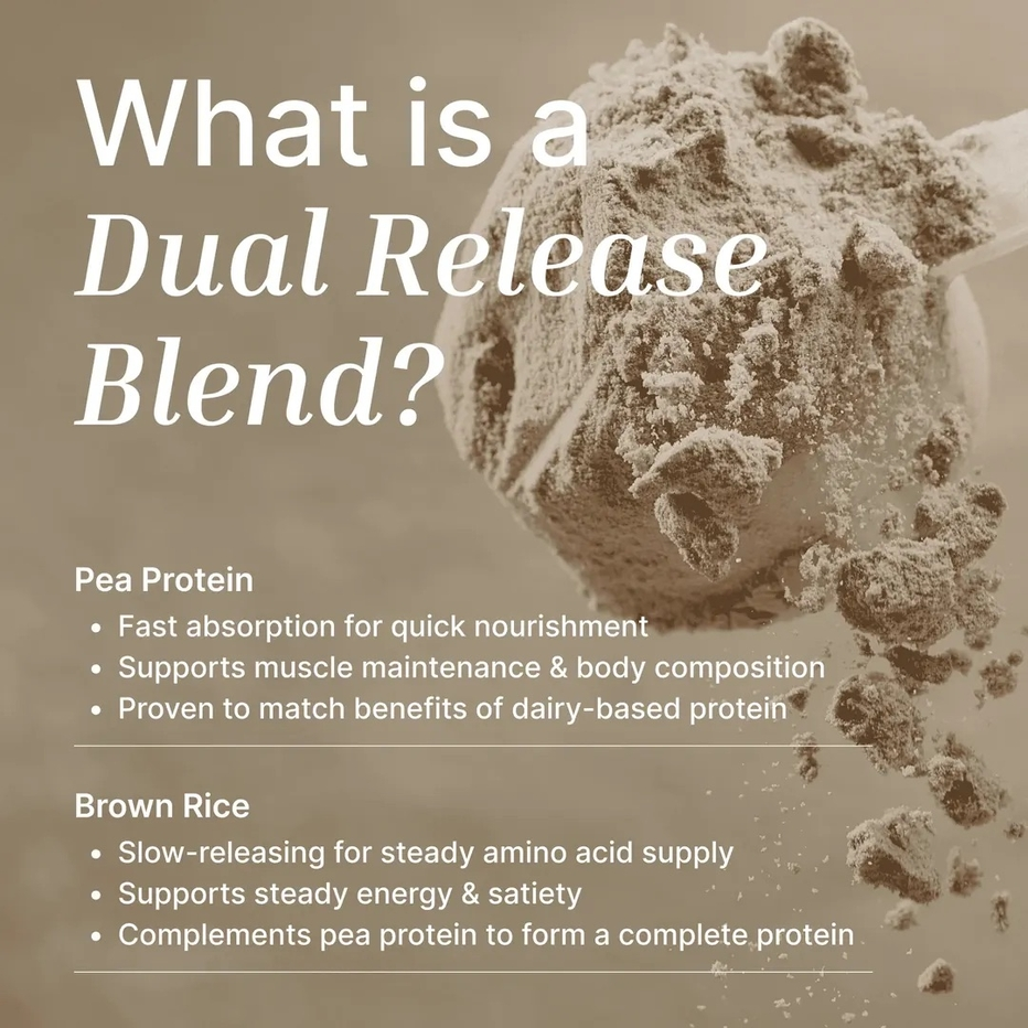 Exalt | Plant-Based Protein Blend 1KG / 32 Servings